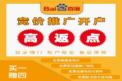 行业领先企业的SEM竞价代运营案例解析